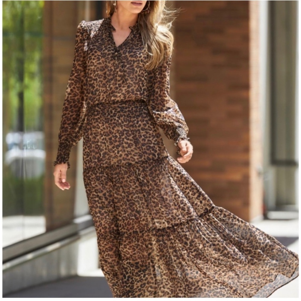 Boston Proper Leopard Print Maxi Dress Size XS